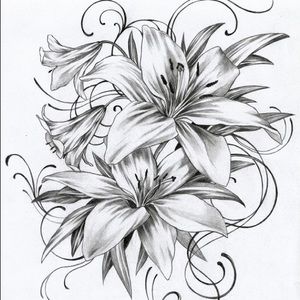 Meet your Posher, Keri